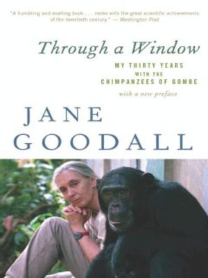 Through a Window - ebook